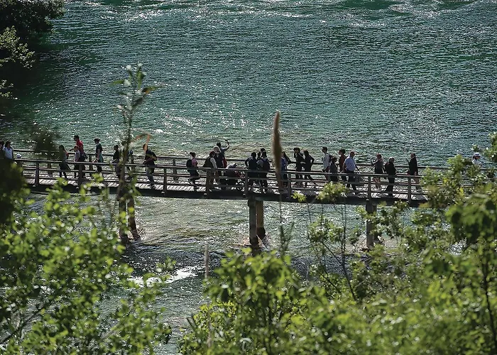 アパート Lxvii *